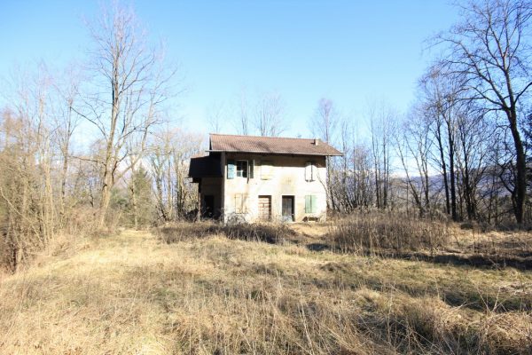 Rustico da ristrutturare con terreno e bosco