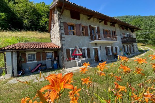 Featured Properties