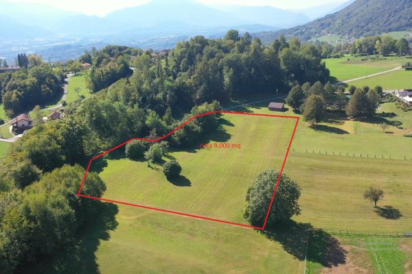 Recently Listed Properties